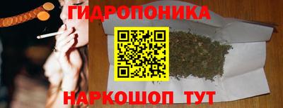 шишки Усть-Илимск