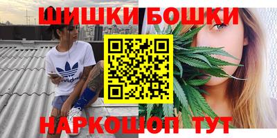 шишки Усть-Илимск
