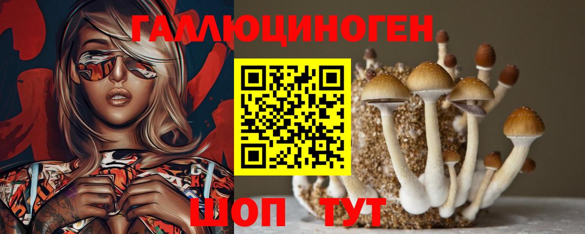 Анапа  Галлюциногенные грибы мухоморы  Псилоцибиновые грибы мицелий  Вход с VPN 